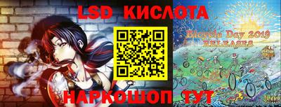 шишки Славгород