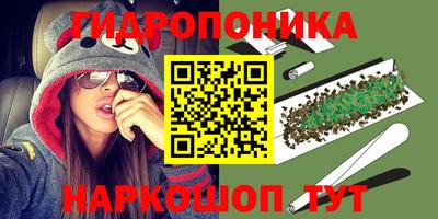 шишки Славгород