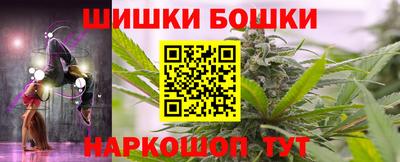 шишки Славгород
