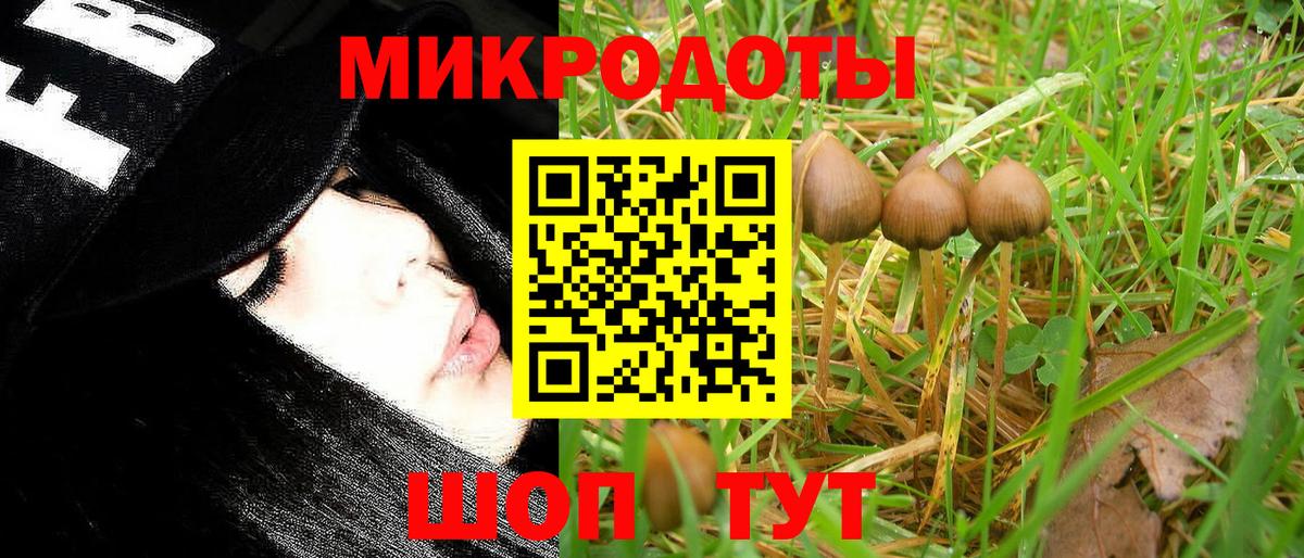 Осинники  Псилоцибиновые грибы Psilocybe  Вход с VPN 